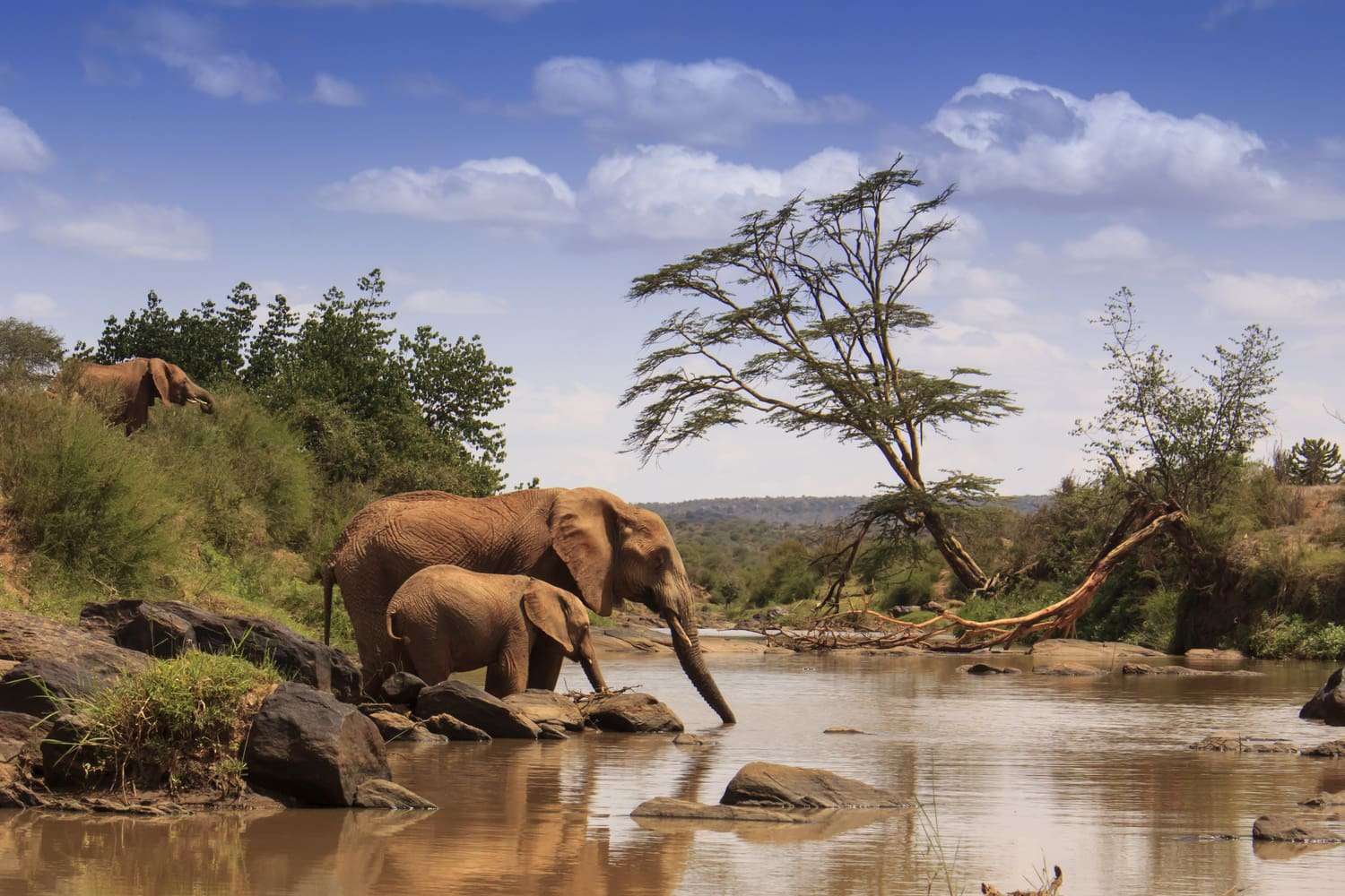 Trails of Samburu