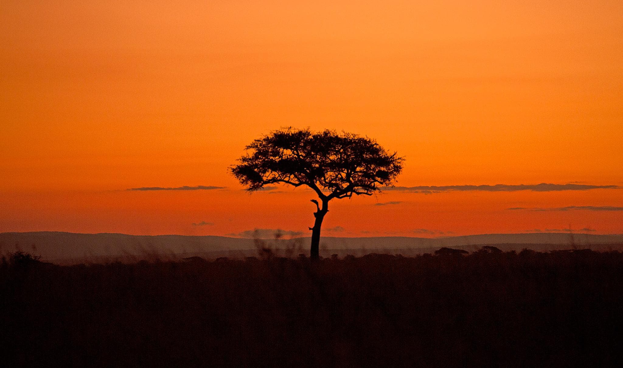Manyara/Serengeti/Ngorongoro/Tarangire